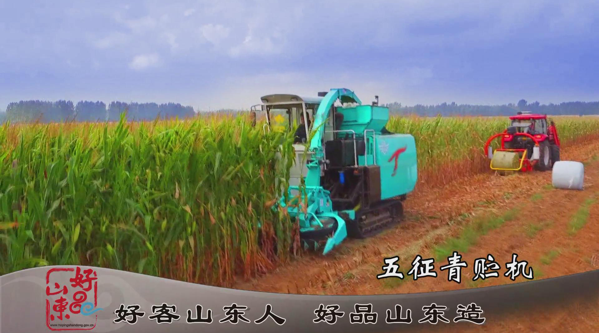 好品山东