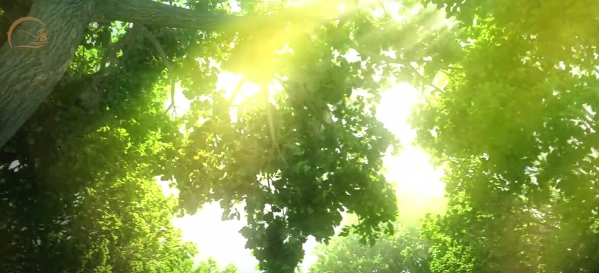 松月湖宣传片